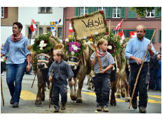 051Walsli.jpg