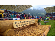 schwingfest17_02.JPG