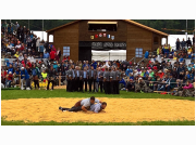 schwingfest17_30.jpg
