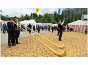 schwingfest17_44.jpg
